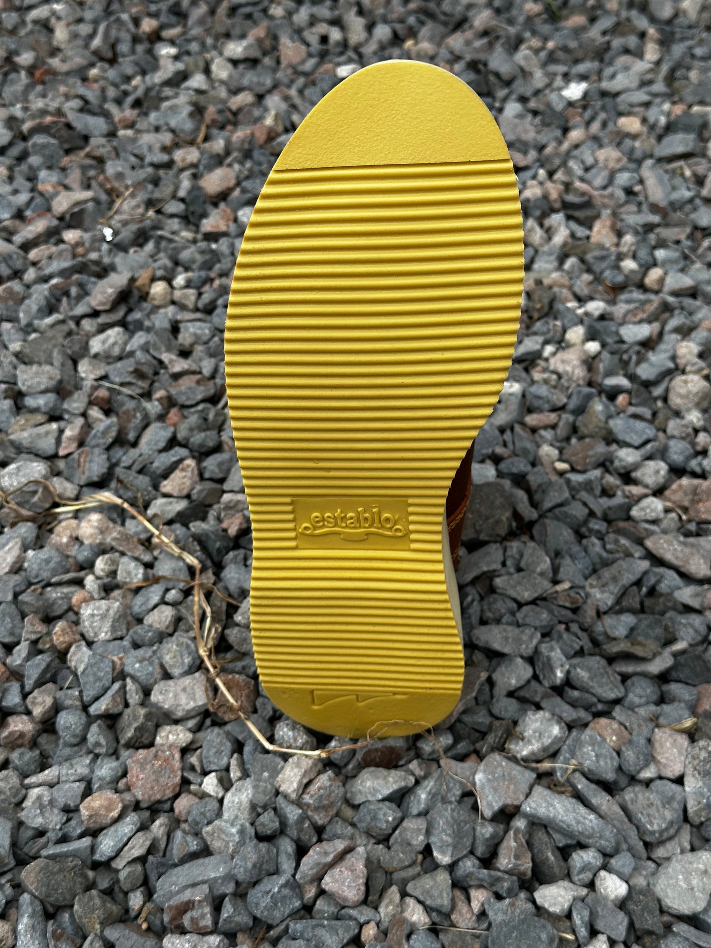 BOTA 213 ESTABLO