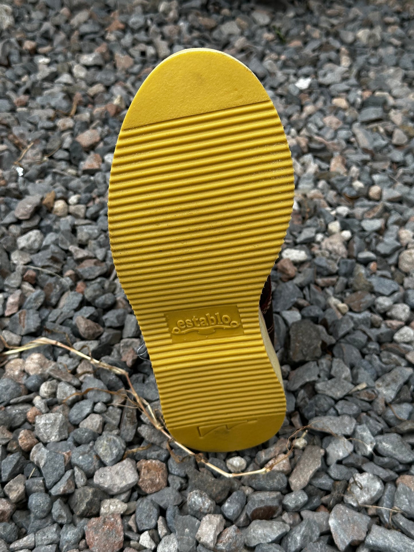 BOTA 213 ESTABLO