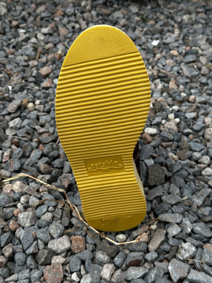 BOTA 213 ESTABLO